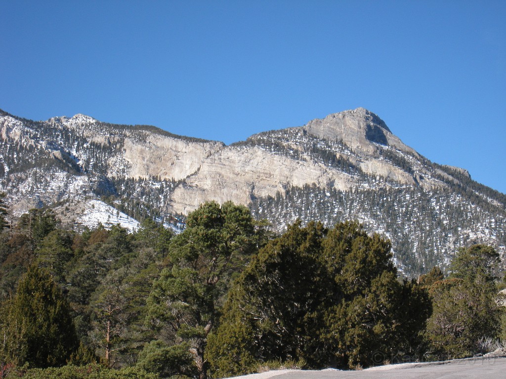 Las Vegas 2010 - Mt Charleston 0241.JPG - The 2010 Las Vegas Fire - Ice and Sweat Tour. Half Marathon, Red Rock Canyon, Casinos, Valley of Fire.... and buffets!